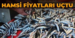 HAMSİ FİYATLARI UÇTU