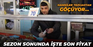 HAMSİLER TEZGAHTAN GÖÇÜYOR...