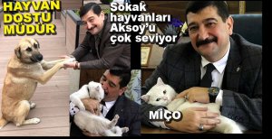 HAYVAN DOSTU EMNİYET MÜDÜRÜ...