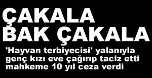 HAYVAN TERBİYECİSİYİM DİYEREK TACİZ ETTİ, 10 YIL HAPİS ALDI