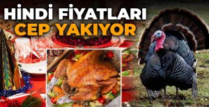 HİNDİ FİYATLARI CEP YAKIYOR