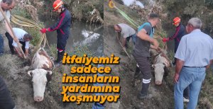 İNEĞİN İMDADINA İTFAİYE YETİŞTİ