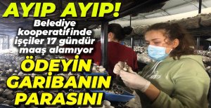 İŞÇİLERİN MAAŞ ÇİLESİ BİTMEK BİLMİYOR