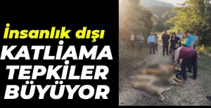 KATLİAMA TEPKİLER BÜYÜYOR