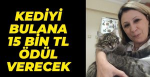 KEDİSİNİ BULANA 15 BİN TL ÖDÜL VERECEK