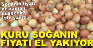 KURU SOĞANIN KİLO FİYATI 20 TL'YE ULAŞTI