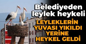 LEYLEKLERİN GELDİĞİ DİREĞİ YIKIP LEYLEK HEYKELİ DİKİLDİ