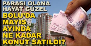 MAYIS AYI KONUT SATIŞLARI AÇIKLANDI