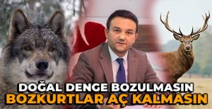 MHP'DEN GEYİK AVINA TEPKİ... "KONUNUN TAKİPÇİSİ OLACAĞIZ"...