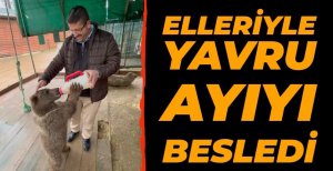 MİLLİ PARKLAR MÜDÜRÜ GÖZLER, AYIYI ELLERİYLE BESLEDİ