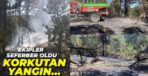 ORMAN YANGINI BÜYÜMEDEN SÖNDÜRÜLDÜ