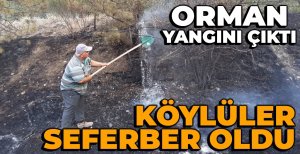 ORMAN YANGININDA KÖYLÜLERİN ERKEN MÜDAHALESİ...