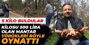 ORMANDA BULDUKLARI O MANTAR BÖYLE OYNATTI...