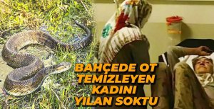 OT TEMİZLERKEN YILAN SOKTU