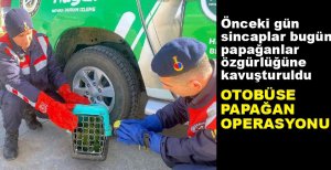 OTOBÜSE PAPAĞAN OPERASYONU