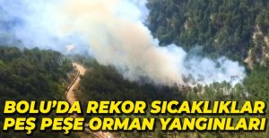 REKOR SICAKLIKLAR PEŞ PEŞE ORMAN YANGINLARI...