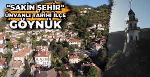 "SAKİN ŞEHİR" ÜNVANLI TARİHİ İLÇE: GÖYNÜK