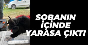 SOBADAN CÜCE YARASA ÇIKTI