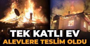 TEK KATLI EV ALEVLERE TESLİM OLDU