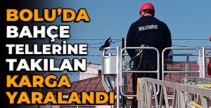 TELLERE TAKILAN KARGA YARALANDI... İTFAİYE KURTARDI