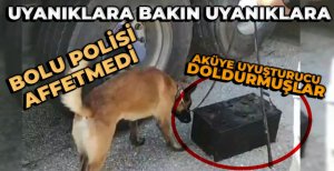 UYANIK UYUŞTURUCU TACİRLERİ..."PAKO" BULDU..