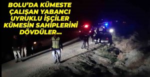YABANCI UYRUKLU ŞAHISLAR KÜMES SAHİPLERİNİ DÖVDÜ