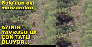 YAVRU AYILAR BÖYLE GÖRÜNTÜLENDİ...