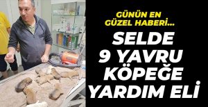 YAVRU KÖPEKLERİN İMDADINA VATANDAŞLAR YETİŞTİ