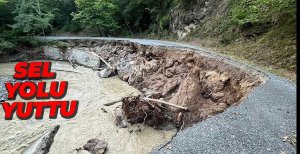 YEDİGÖLLER YOLU ÇÖKTÜ...