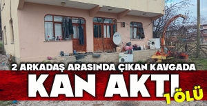 2 ARKADAŞ ARASINDA ÇIKAN KAVGADA KAN AKTI: 1 ÖLÜ