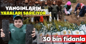 30 BİN FİDANLA YANGINLARIN YARALARI SARILIYOR