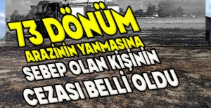 73 DÖNÜM ARAZİNİN YANMASINA SEBEP OLAN KİŞİNİN CEZASI BELLİ OLDU