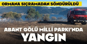 ABANT GÖLÜ MİLLİ PARKI’NDA YANGIN: ORMANA SIÇRAMADAN SÖNDÜRÜLDÜ