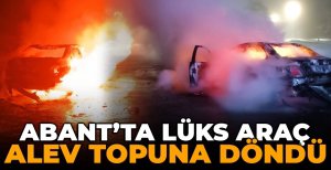 ABANT'TA LÜKS OTOMOBİL ALEV TOPUNA DÖNDÜ... GERİYE HURDA YIĞINI KALDI...