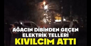 AĞACIN DİBİNDEN GEÇEN ELEKTRİK TELLERİ KIVILCIM ATTI