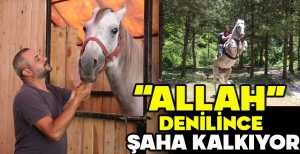 “ALLAH”  DENİLİNCE  ŞAHA KALKIYOR