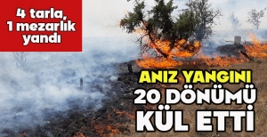 ANIZ YANGINI 20 DÖNÜMÜ KÜL ETTİ... 4 TARLA, 1 MEZARLIK YANDI