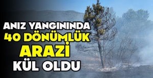 ANIZ YANGININDA 40 DÖNÜMLÜK ARAZİ  KÜL OLDU