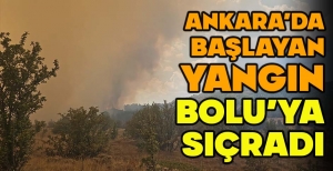 ANKARA’DA BAŞLAYAN YANGIN BOLU’YA SIÇRADI