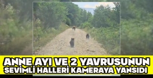 ANNE AYI VE 2 YAVRUSUNUN SEVİMLİ HALLERİ KAMERAYA YANSIDI