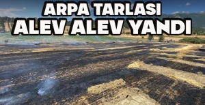 ARPA TARLASI ALEV ALEV YANDI