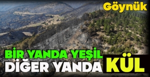 BİR YANDA YEŞİL,  DİĞER YANDA KÜL