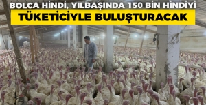 BOLCA HİNDİ, YILBAŞINDA 150 BİN HİNDİYİ TÜKETİCİYLE BULUŞTURACAK