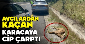 BOLU DAĞI'NDA KARACAYA CİP ÇARPTI