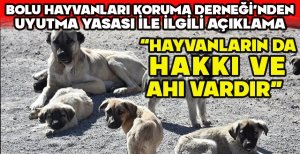 BOLU HAYVANLARI KORUMA DERNEĞİ’NDEN UYUTMA YASASI İLE İLGİLİ AÇIKLAMA “HAYVANLARIN DA  HAKKI VE  AHI VARDIR”