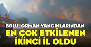 BOLU, ORMAN YANGINLARINDAN  EN ÇOK ETKİLENEN İKİNCİ İL OLDU