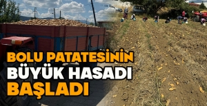 BOLU PATATESİNİN BÜYÜK HASADI BAŞLADI