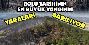 BOLU TARİHİNİN EN BÜYÜK YANGININ YARALARI SARILIYOR