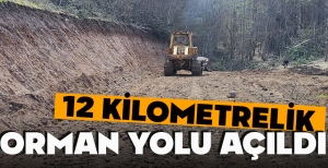 BOLU'DA 12 KİLOMETRELİK ORMAN YOLU AÇILDI