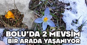 BOLU'DA 2 MEVSİM BİR ARADA YAŞANIYOR